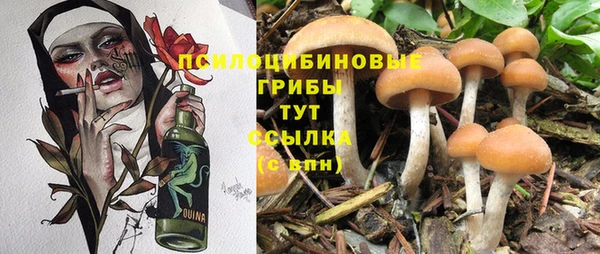 СК Саяногорск
