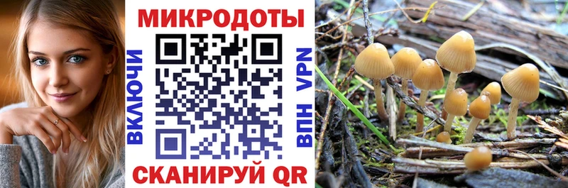 что такое наркотик  Великие Луки  нарко площадка состав  Галлюциногенные грибы мухоморы 
