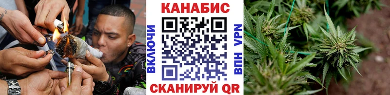 Каннабис OG Kush Великие Луки